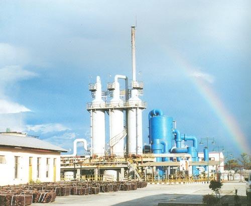 W020241121369693914127