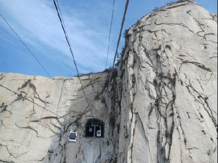 W020241119528351228113